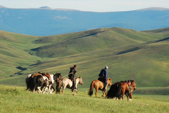 Les nomades et leurs chevaux