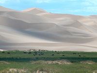 Les dunes de sable