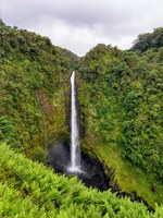 Akaka fall