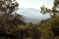 L'Australie regorge de paysages contrastés