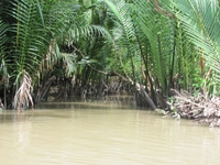 Ben Tre_Visit by Sampan (26)