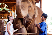 Khao Sok, le camp des éléphants