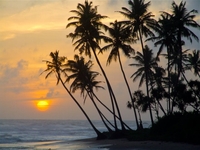 Coucher de soleil au sud du Sri Lanka