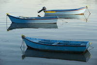 Bateaux de pêcheurs dans le Golfe du Morbihan