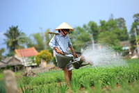 Hoi An