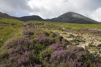 Terra Mundi vous propose de belles randonnées en Irlande