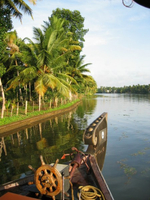 Découvrez la faune et la flore locale au rythme de l'eau sur le Kettuvalam, bateau traditionnel du Kérala