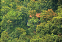 Une nuit insolite au sein d'un hôtel luxueux au cœur de la forêt