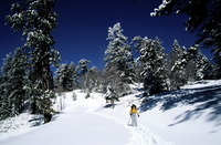 Mammoth Lakes hors piste