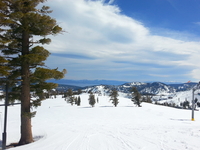 Mammoth Lakes pistes