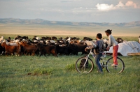 Paysage en Mongolie