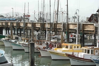 San Francisco Fishermann's