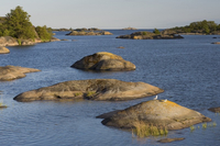 L'archipel de Stockholm et ses récifs