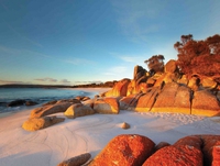Longue plage de sable fin aux couleurs envoûtantes en Tasmanie