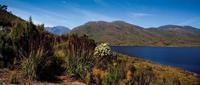 Découvrez la variété des paysages lors de randonnées pédestres en Tasmanie